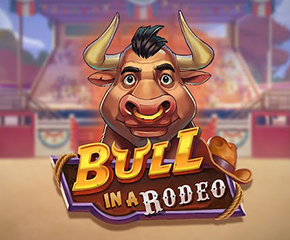 Bull in a Rodeo