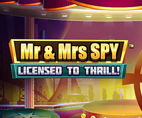 Mr & Mrs Spy