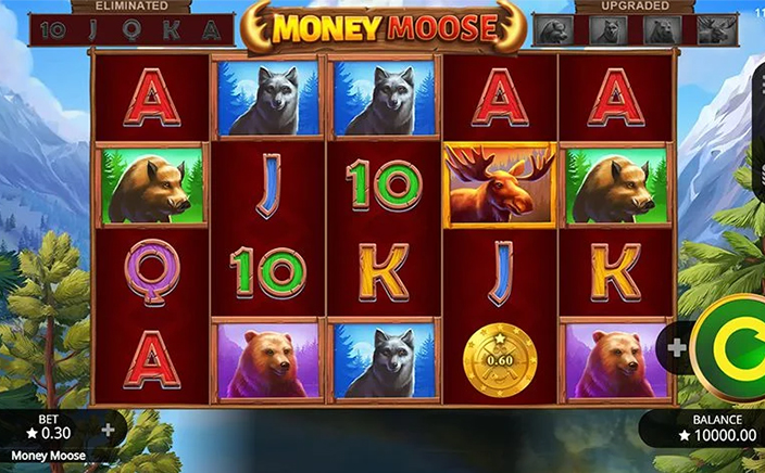 Money Moose