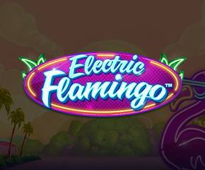 Electric Flamingo