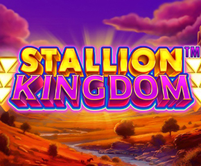 Stallion Kingdom