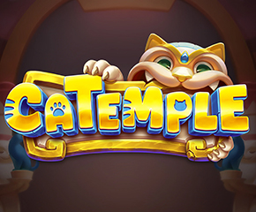 Catemple-290x240